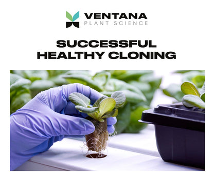 Ventana Plant Science Cloning Gel - 4 Oz (118 Ml) - Successful Cloning