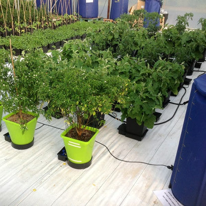 AutoPot - XL System